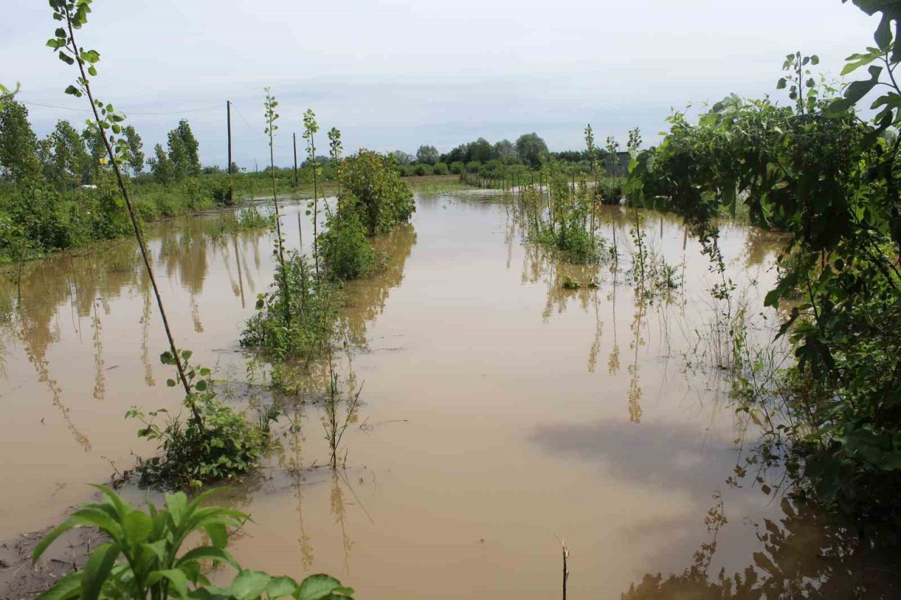 Çarşamba’yı sel aldı