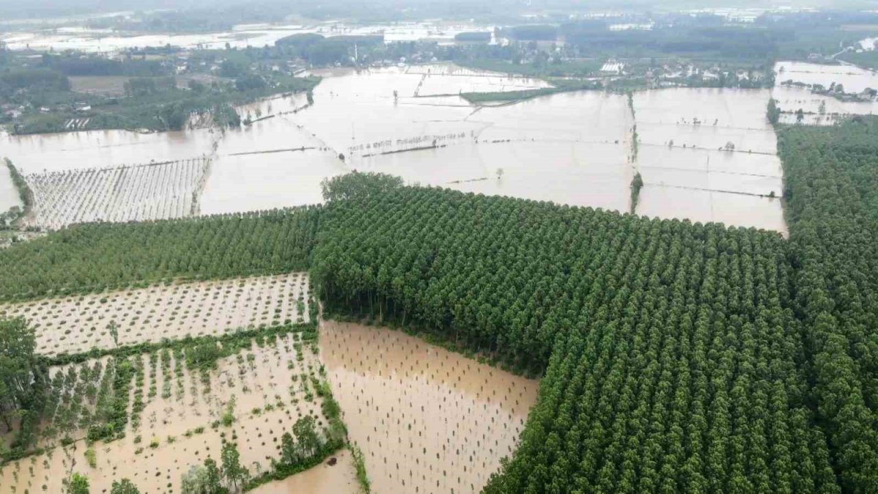Terme Çayı taştı, sel ve su baskınları yaşandı