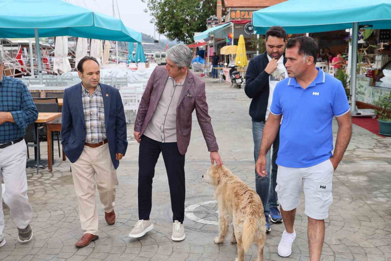 Başkan Oktay, Selimiye ve Bozburun’da incelemelerde bulundu