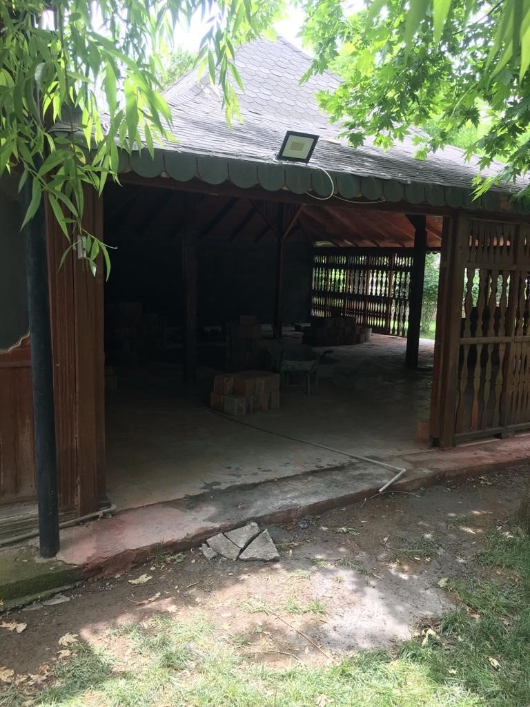 Siirt Üniversitesinde ağaç katliamı tepkilere neden oldu