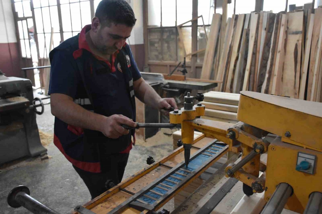 Tosya Belediyesi kamelya üretiminde rekor kırdı