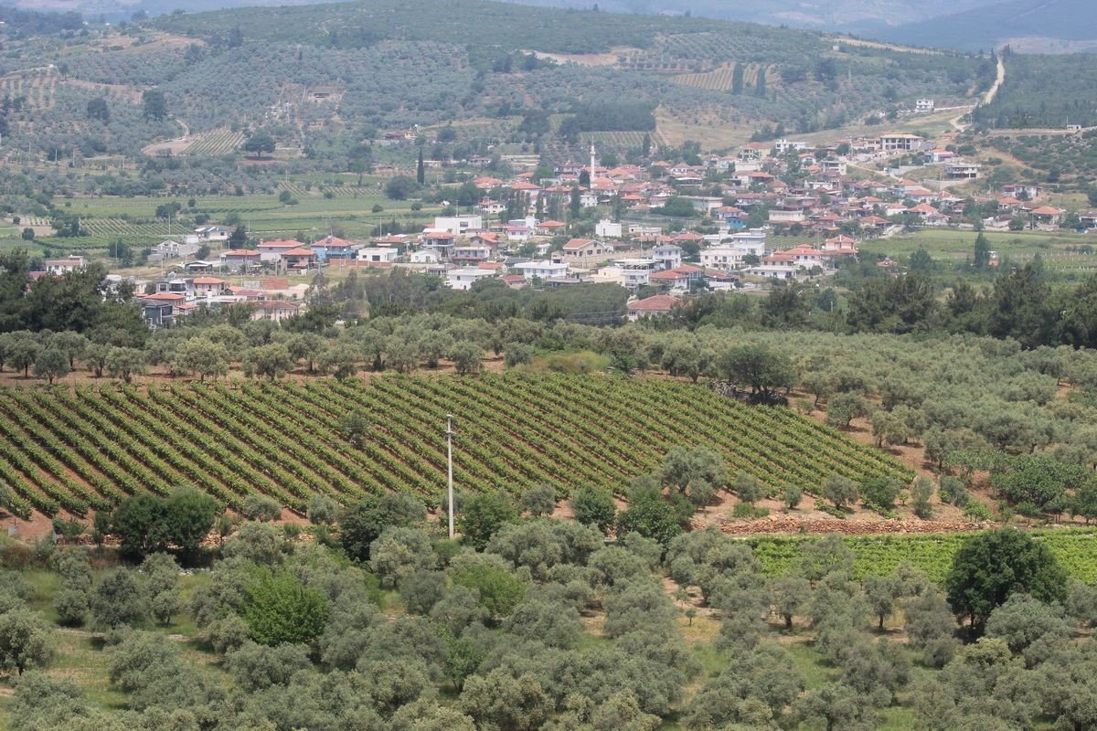 Kuşadası’nda dağ taş inşaat olmaya başladı