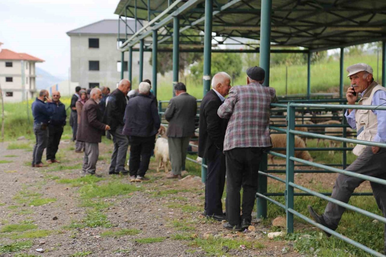 Canlı hayvan pazarı hareketlenmeye başladı