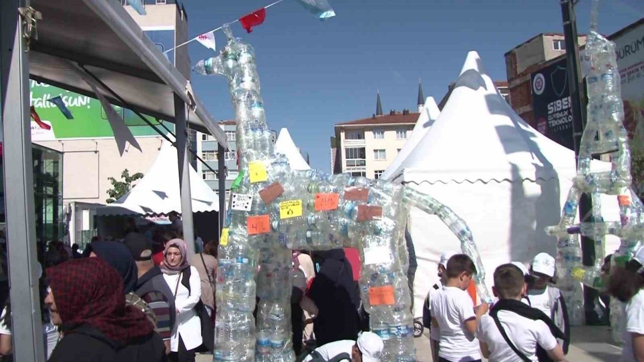 Ümraniye’de ‘Dünya Çevre Günü’ etkinlikleri düzenlendi