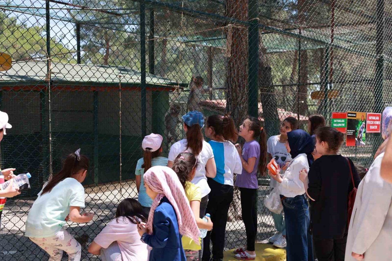 Eğlenirken öğrenmek isteyen çocuklar yaz okulunda buluşuyor