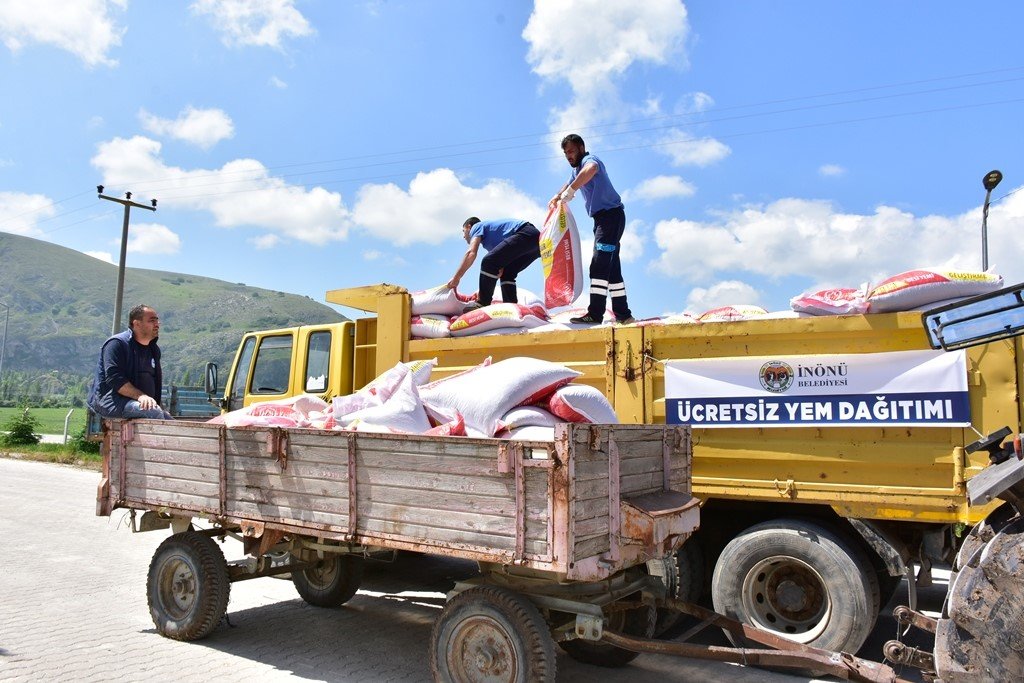 İnönü Belediyesi’nden manda üreticilerine ücretsiz yem desteği
