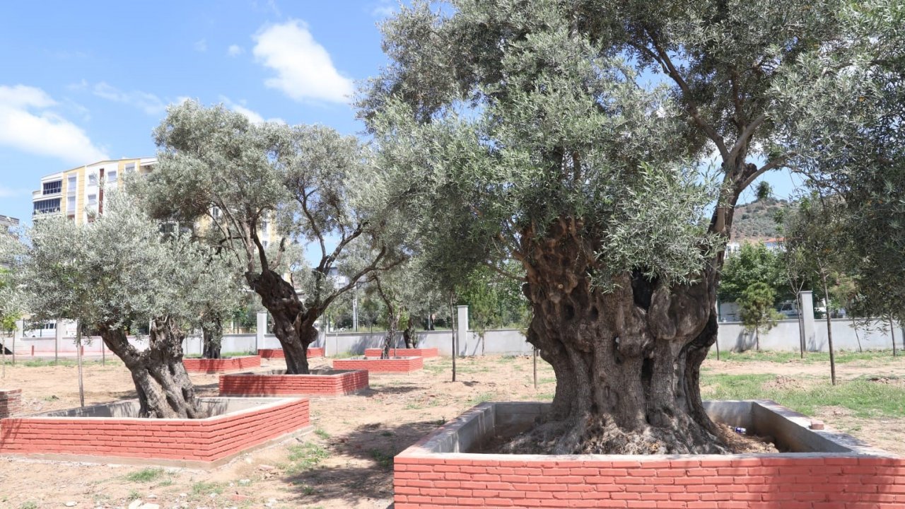 Köşk Belediyesi Sosyal Tesisi ilçenin çehresini değiştirecek