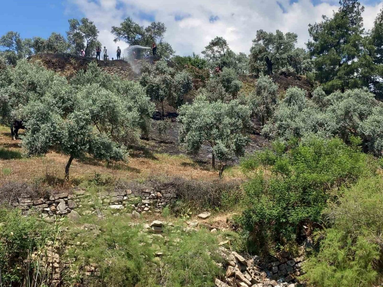 Arazi yangını büyümeden söndürüldü