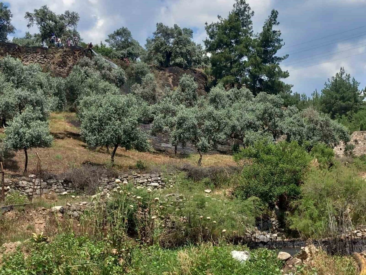 Arazi yangını büyümeden söndürüldü