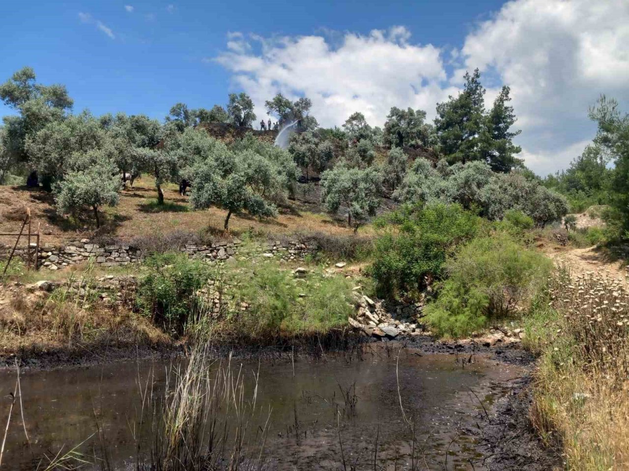 Arazi yangını büyümeden söndürüldü