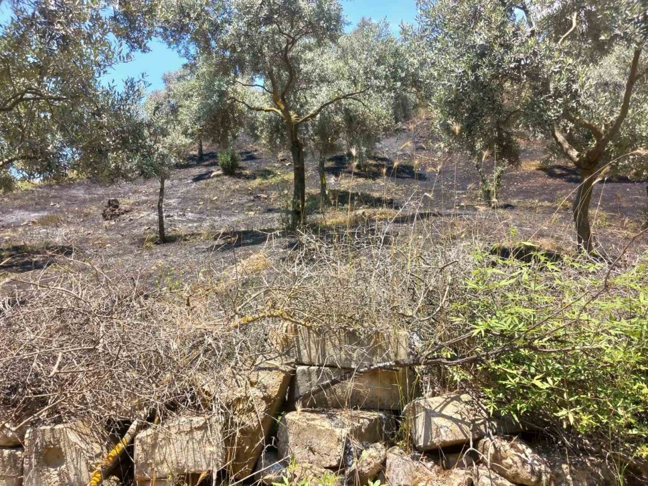 Arazi yangını büyümeden söndürüldü