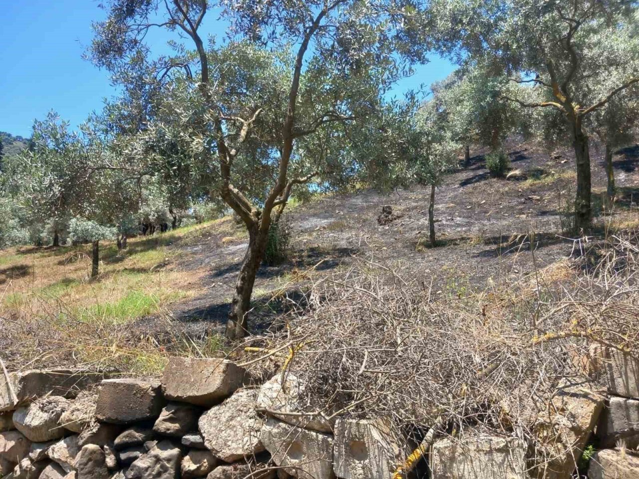Arazi yangını büyümeden söndürüldü