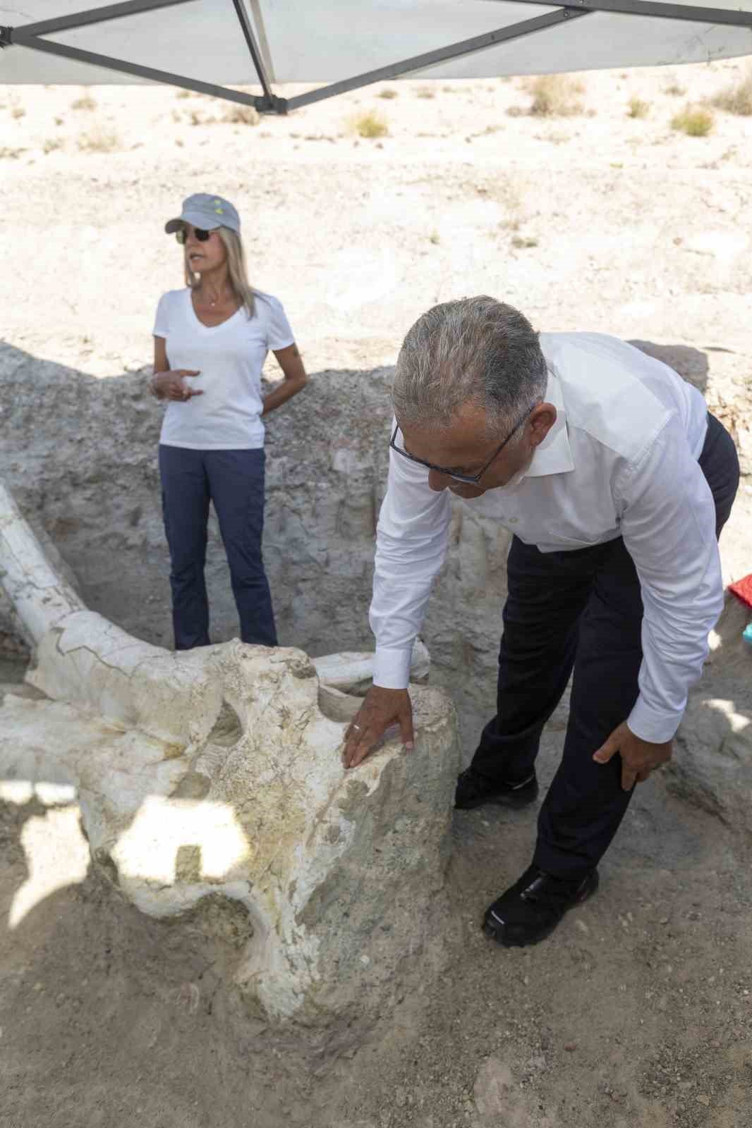 Büyükşehir’in destekleriyle dünyanın ilgisini çeken fosil kazı çalışmaları başladı