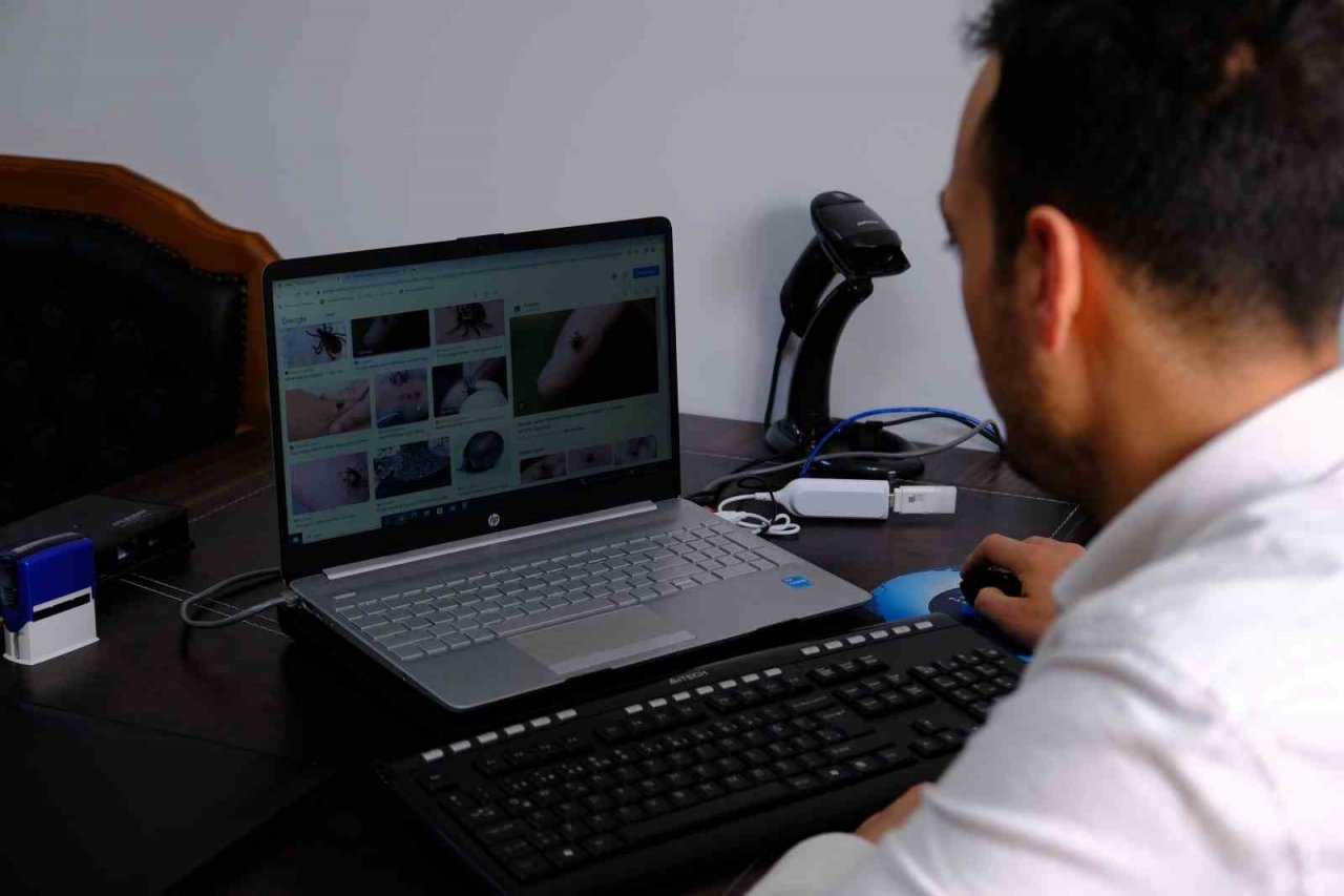 Kurbanlık alımlarında keneye dikkat