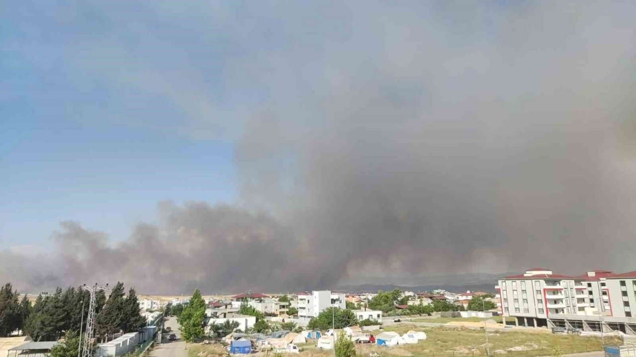 Gaziantep’te 7 bin dönüm buğday tarlası yandı