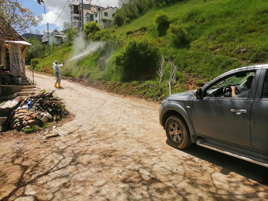 Çekirgelerin istila ettiği köyde ilaçlama çalışmaları başlatıldı