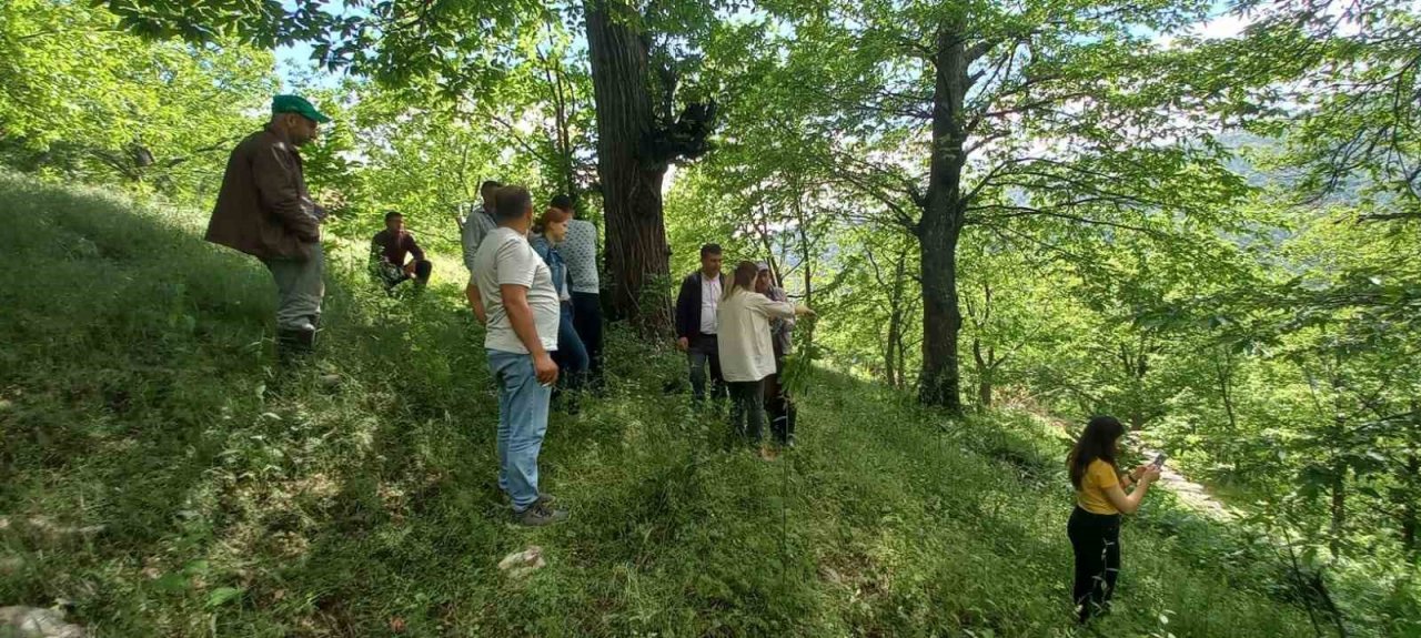 Köşk’te üreticiler Kestane Gal Arısı’na karşı bilgilendiriliyor
