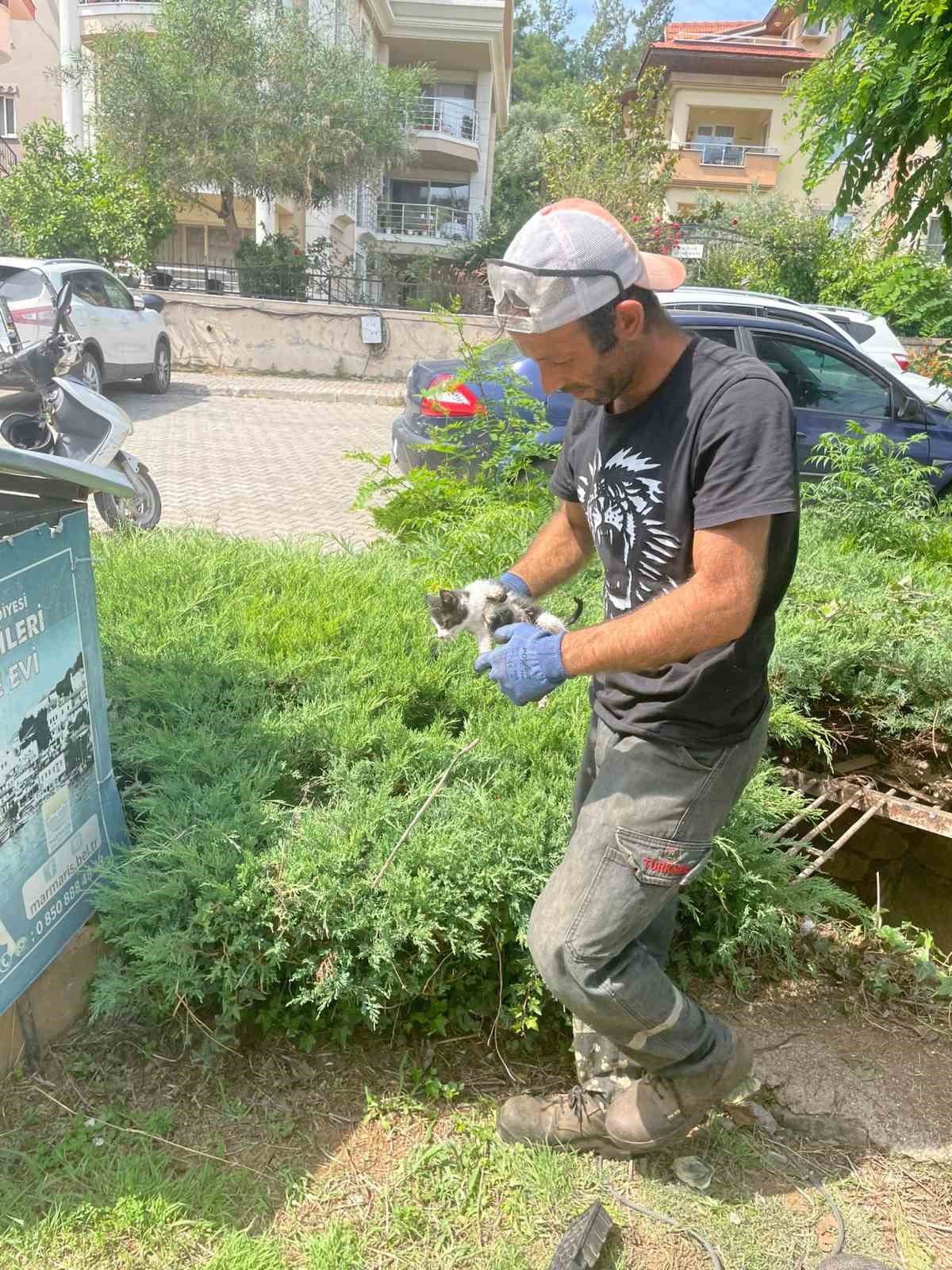 Marmaris’te belediye ekipleri yavru kediyi kurtardı
