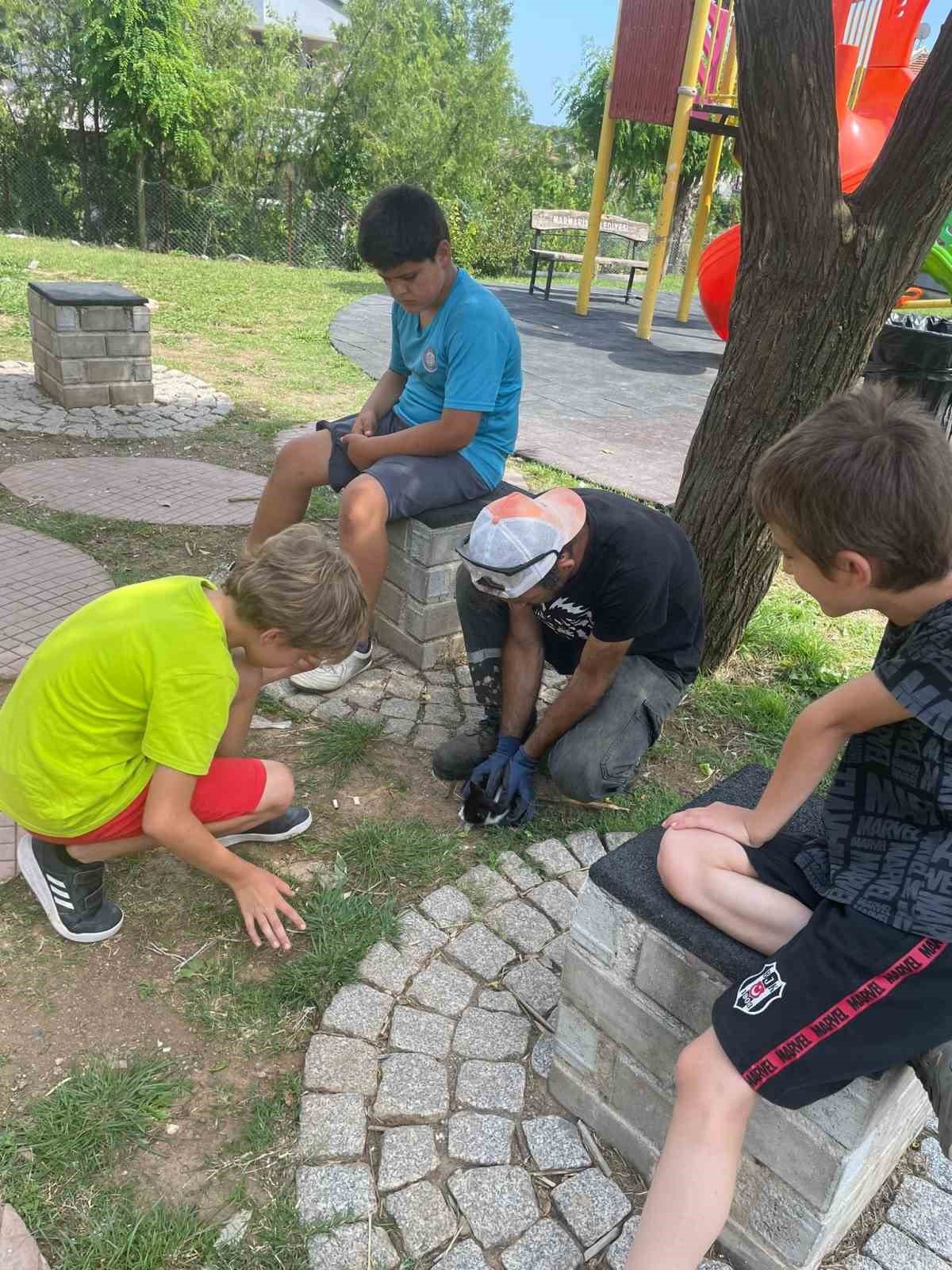 Marmaris’te belediye ekipleri yavru kediyi kurtardı