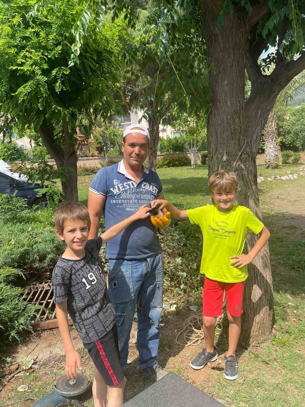 Marmaris’te belediye ekipleri yavru kediyi kurtardı