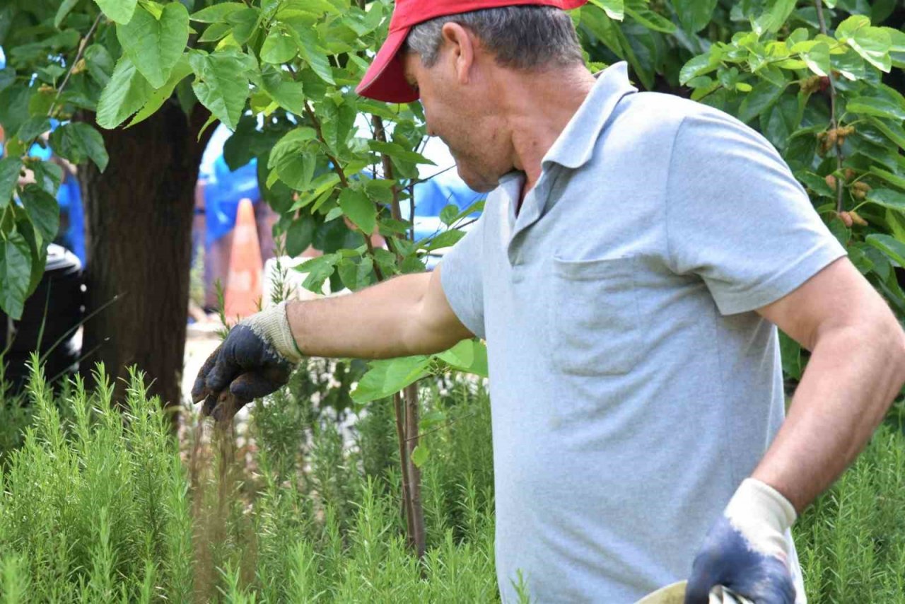 Başkan Kanar "Organik kompostlarımızı, yeşil alanlarla buluşturuyoruz’’