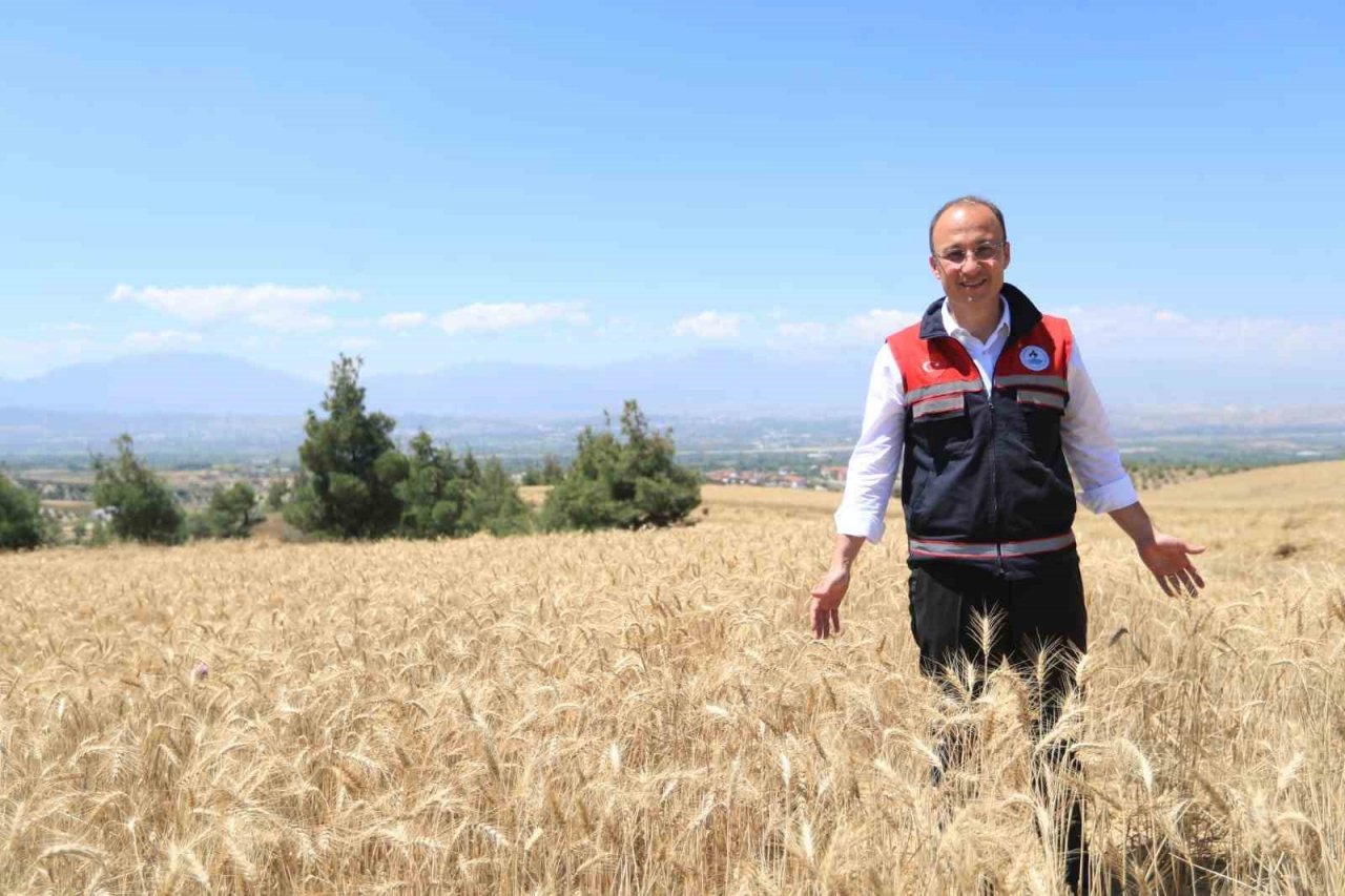 Pamukkale’de hasat başladı