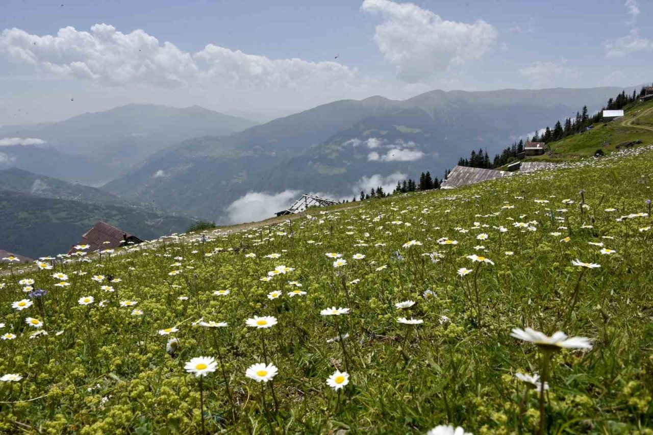 Gümüşhane yaylalarında büyüleyici manzaralar