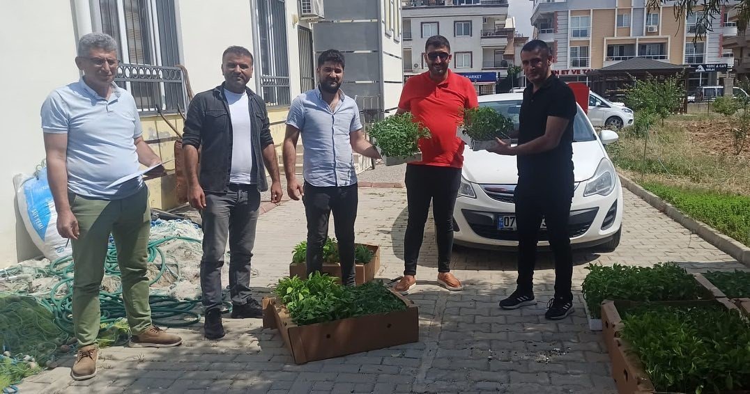 Üreticilere dağıtılan sebze fideleri toprakla buluştu