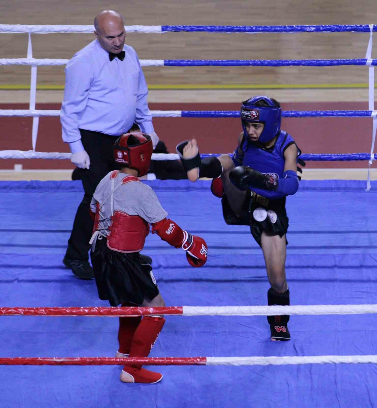 Muay Thai Yıldızlar Türkiye Birinciliği, Sivas’ta başladı