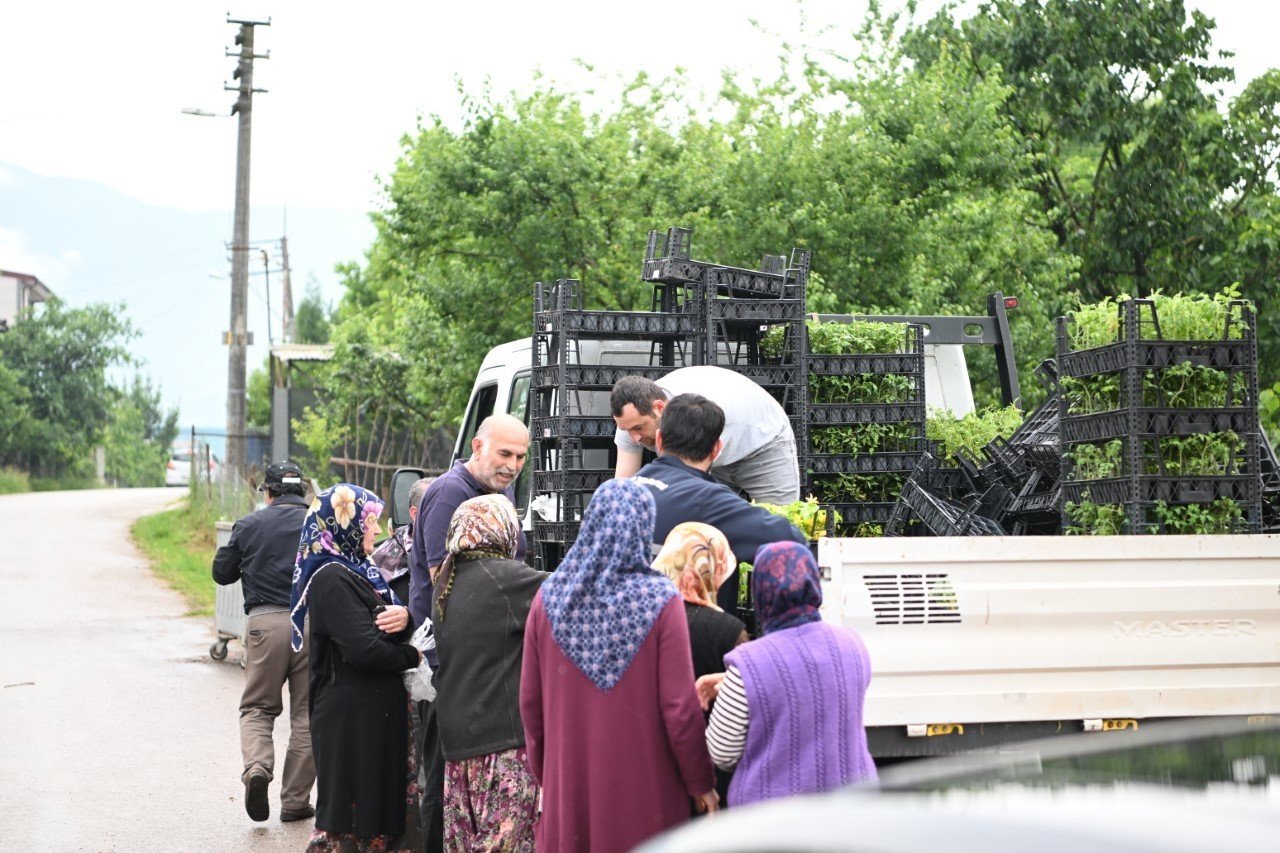 Kartepelilere ücretsiz fide desteği