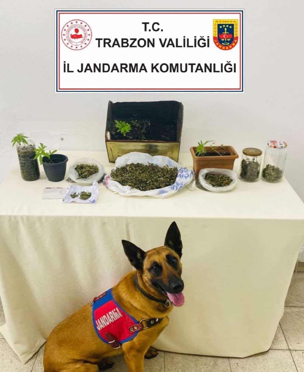 Jandarma timlerinden çifte operasyon