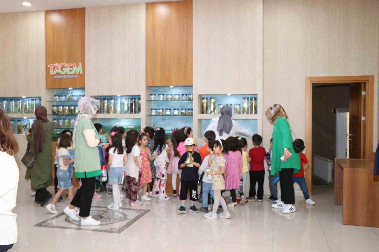 Öğrenciler balık müzesini gezdi