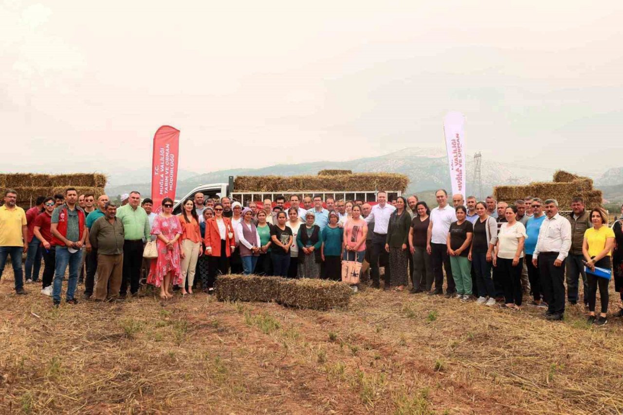 90 kadın üreticiye 2 bin saman balyası dağıtıldı