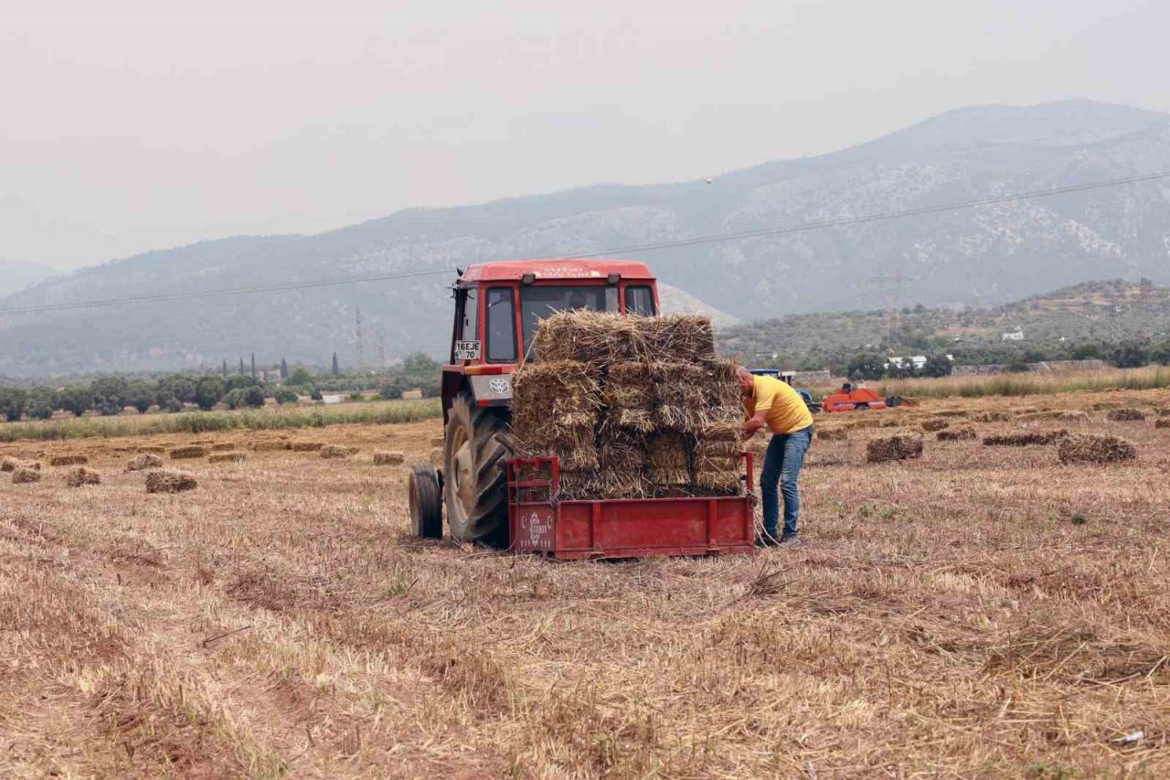 90 kadın üreticiye 2 bin saman balyası dağıtıldı