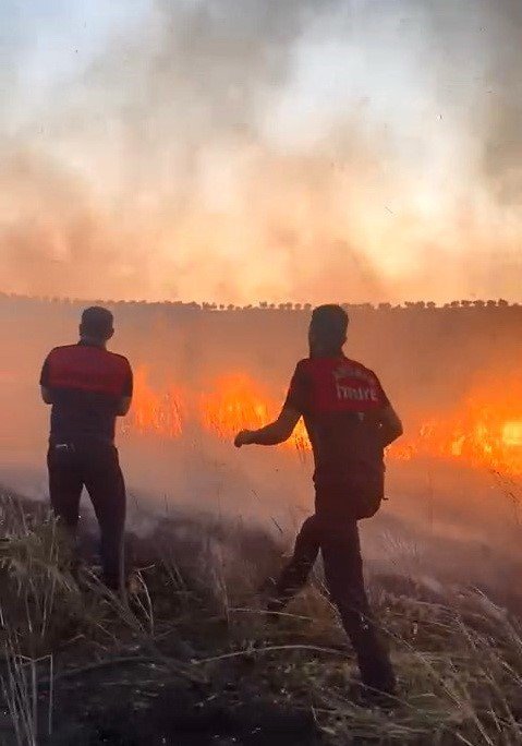 Buğday tarlası yandı