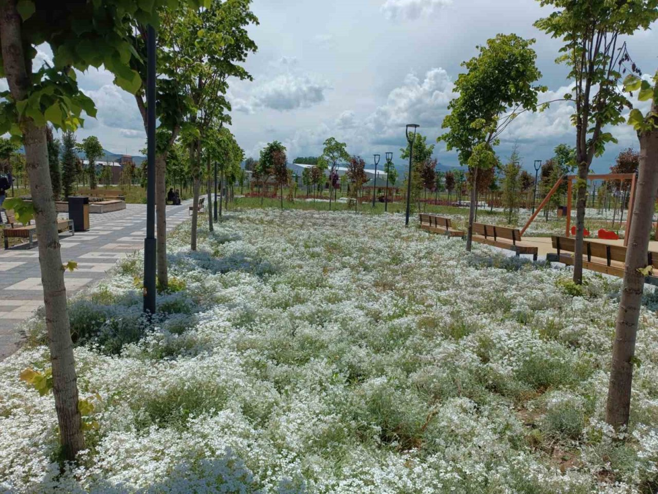 Bünyesinde kokulu bitkilerin olduğu Millet Bahçesi hizmete girdi