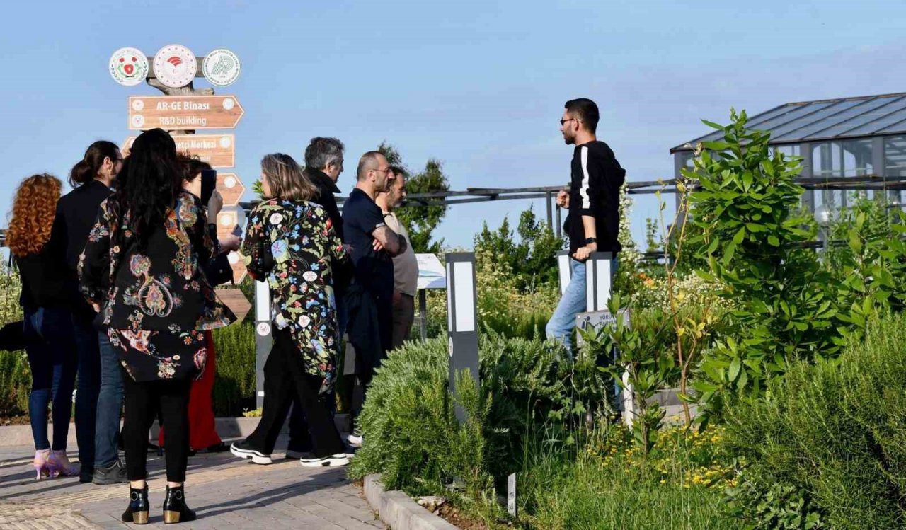 Ressamlar, Hersek Bölgesine hayran kaldılar