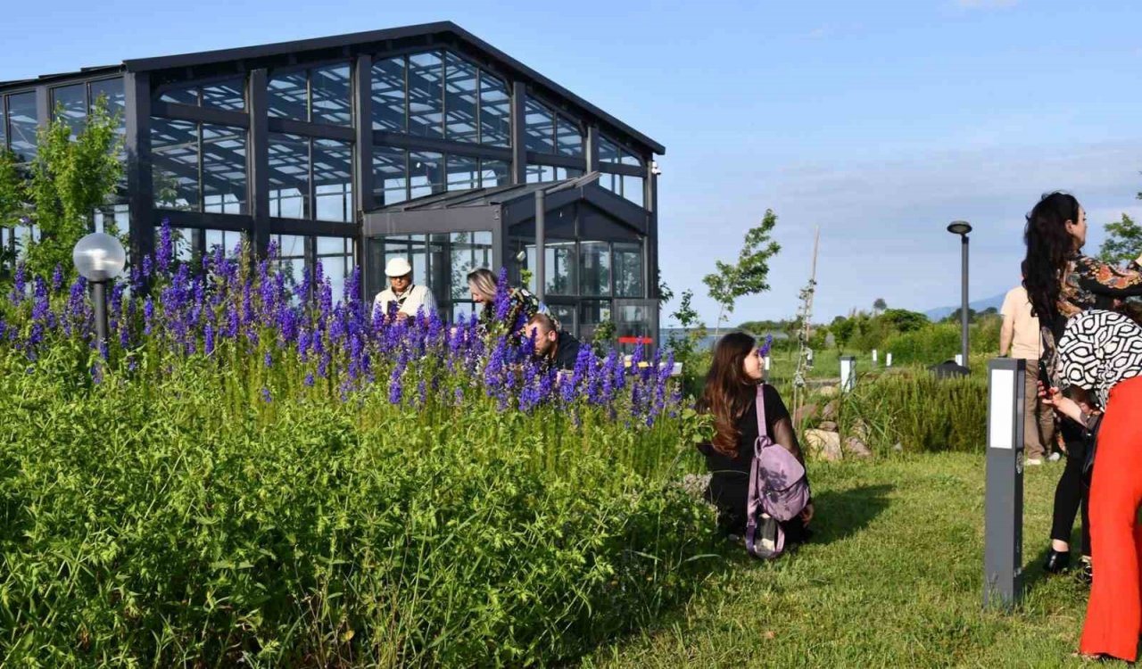 Ressamlar, Hersek Bölgesine hayran kaldılar