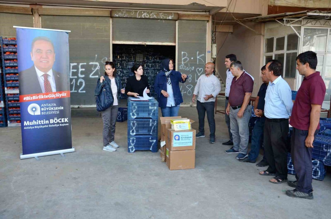 Alanyalı 117 çiftçiye tarımsal hibe desteği verildi