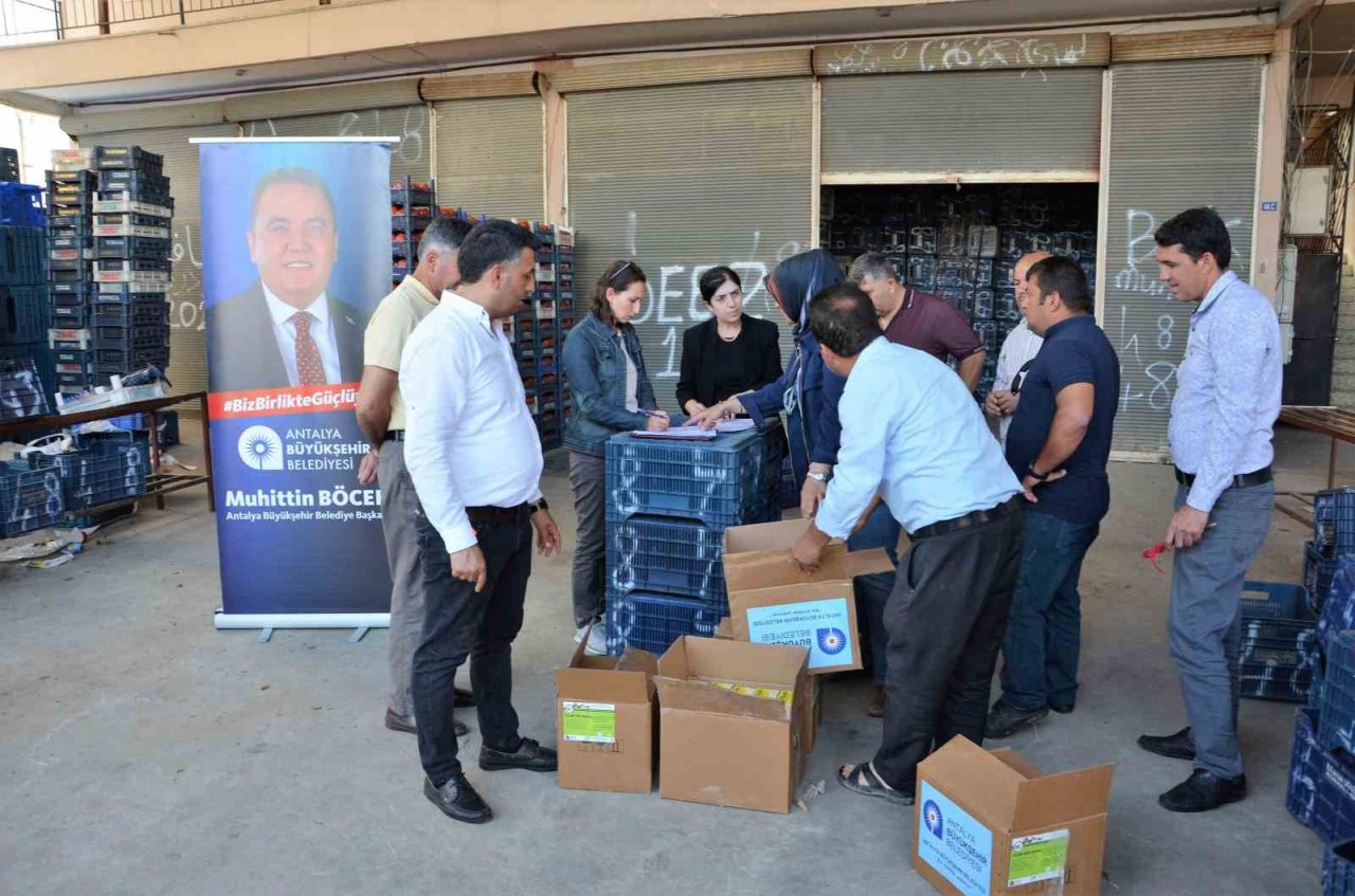 Alanyalı 117 çiftçiye tarımsal hibe desteği verildi