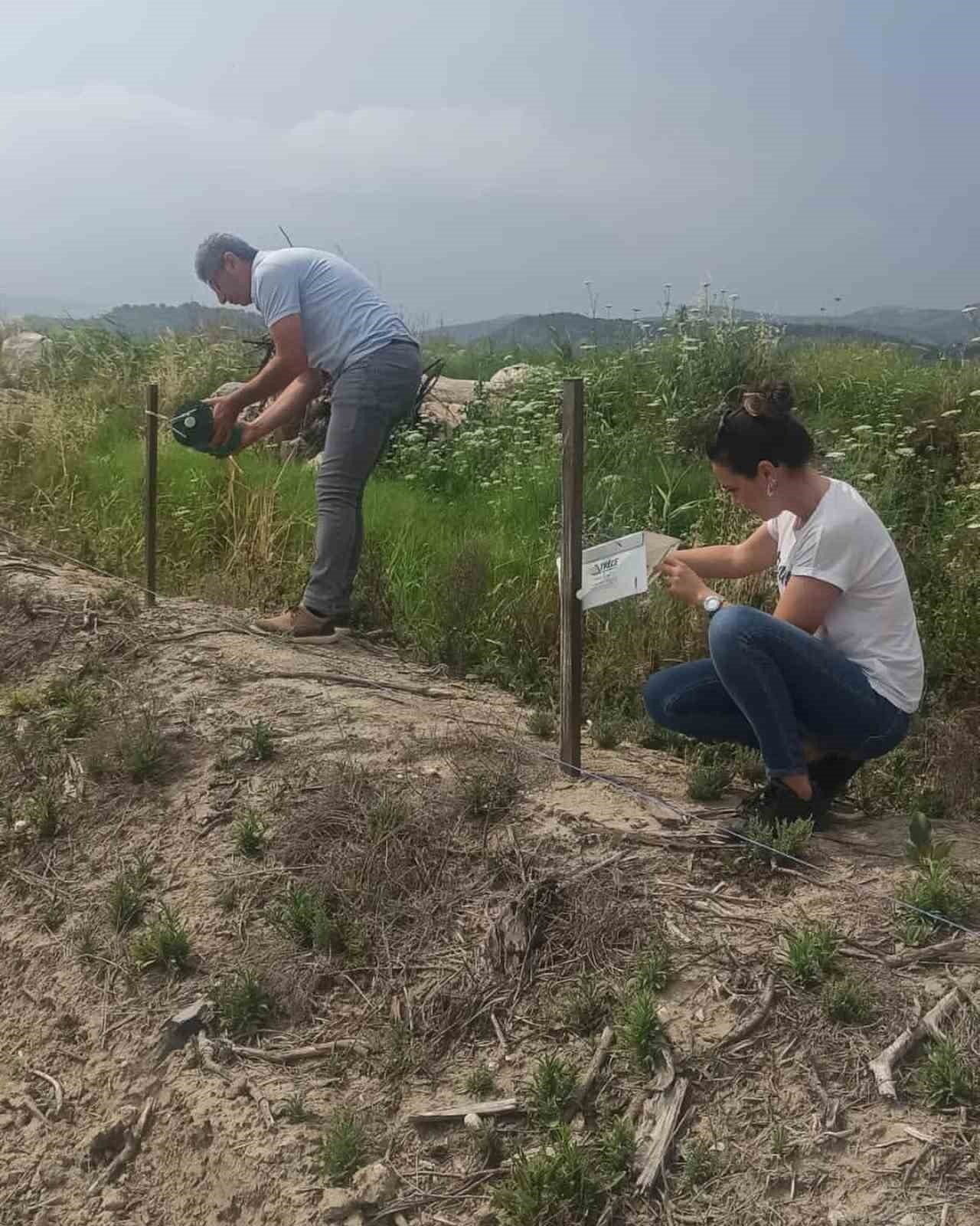 Didim’in pamuğu temiz çıktı