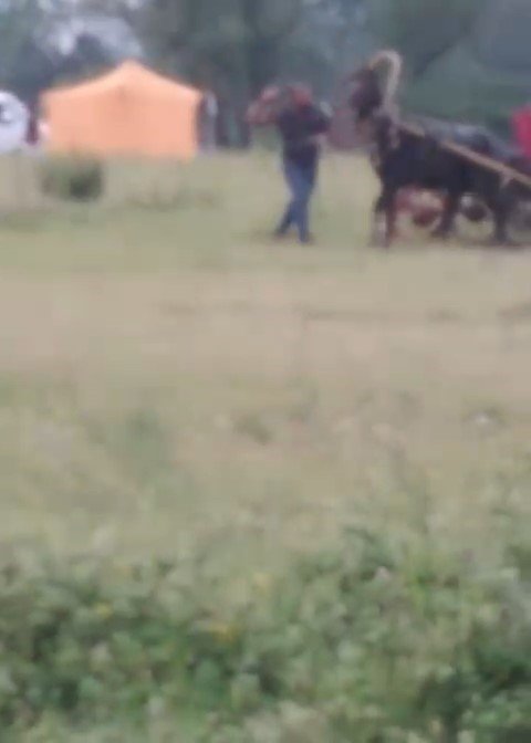 Bursa’da yürekleri sızlatan görüntü...Kendisini çeken ata böyle işkence yaptı