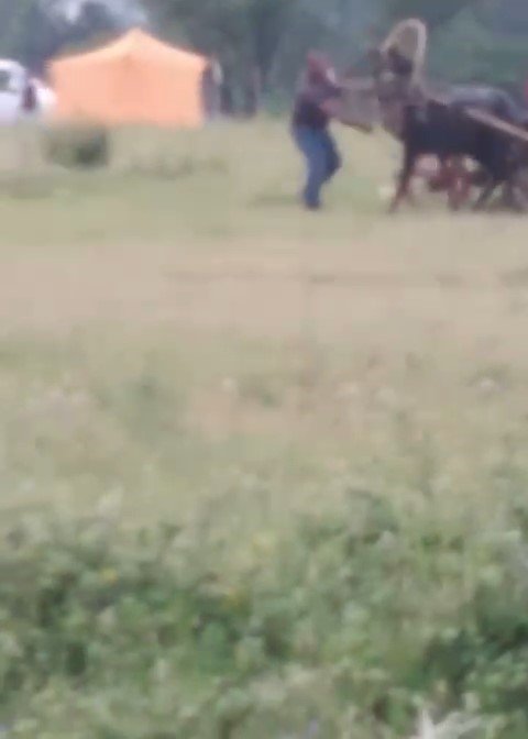 Bursa’da yürekleri sızlatan görüntü...Kendisini çeken ata böyle işkence yaptı