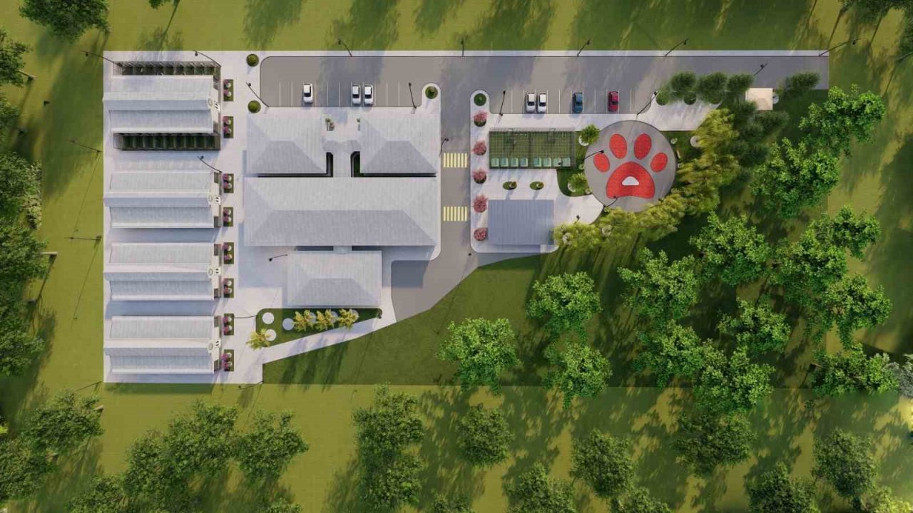 Çarşamba’da sokak hayvanlarına ‘geçici bakım merkezi’