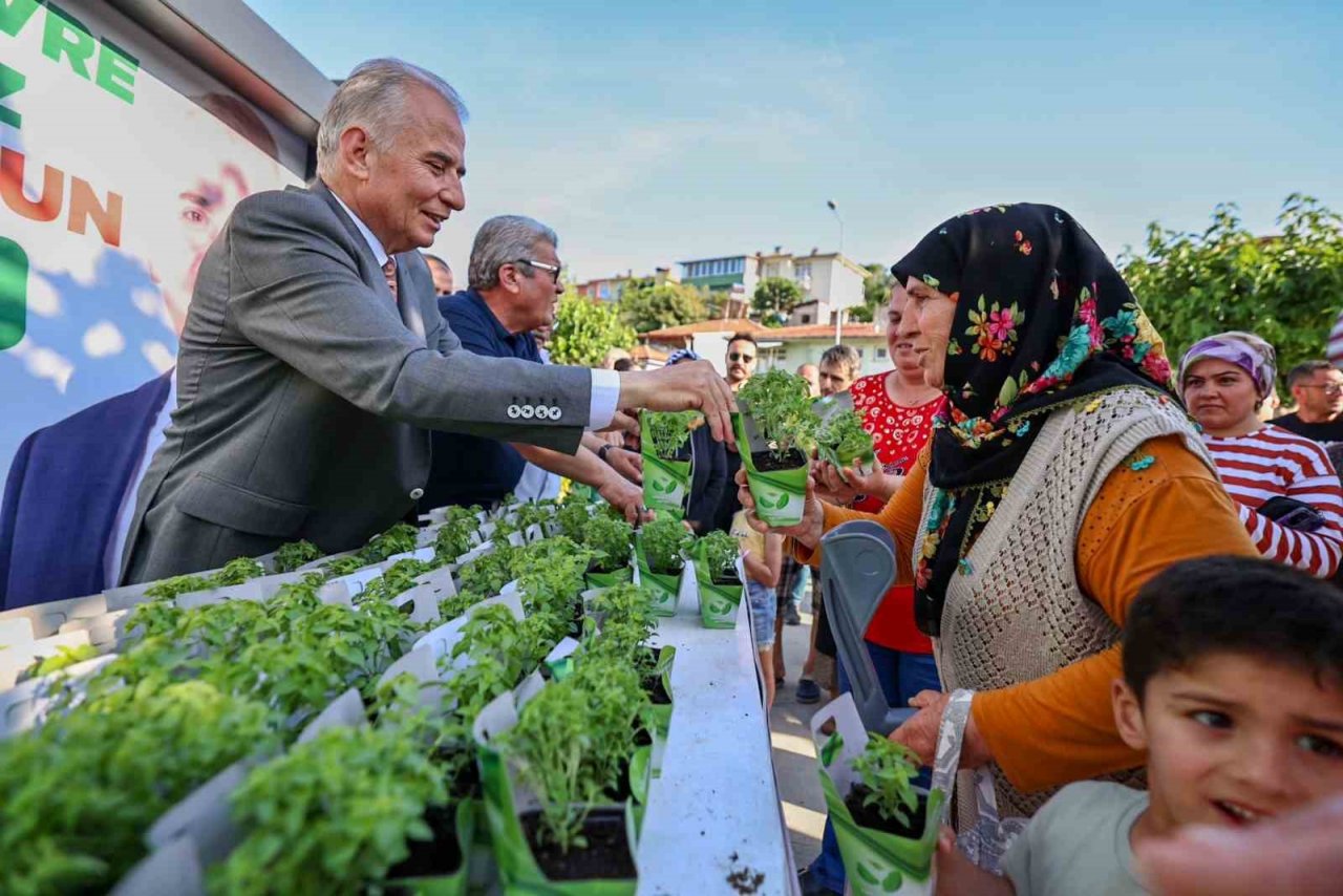 Denizli fesleğen kokacak
