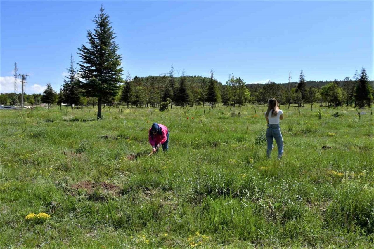 Emet Orman İşletme Müdürlüğünden çöp toplama etkinliği