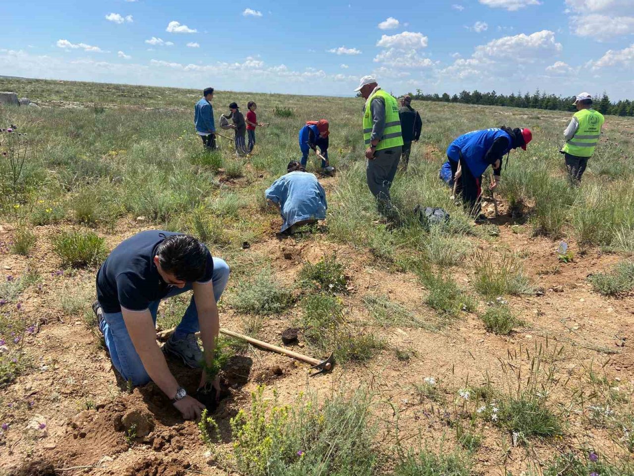 Gönüllü gençler fidanları toprakla buluşturdu, çevredeki çöpleri topladı