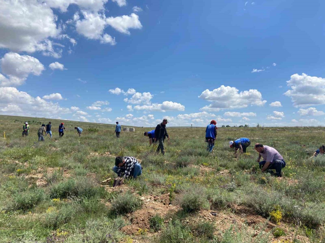 Gönüllü gençler fidanları toprakla buluşturdu, çevredeki çöpleri topladı