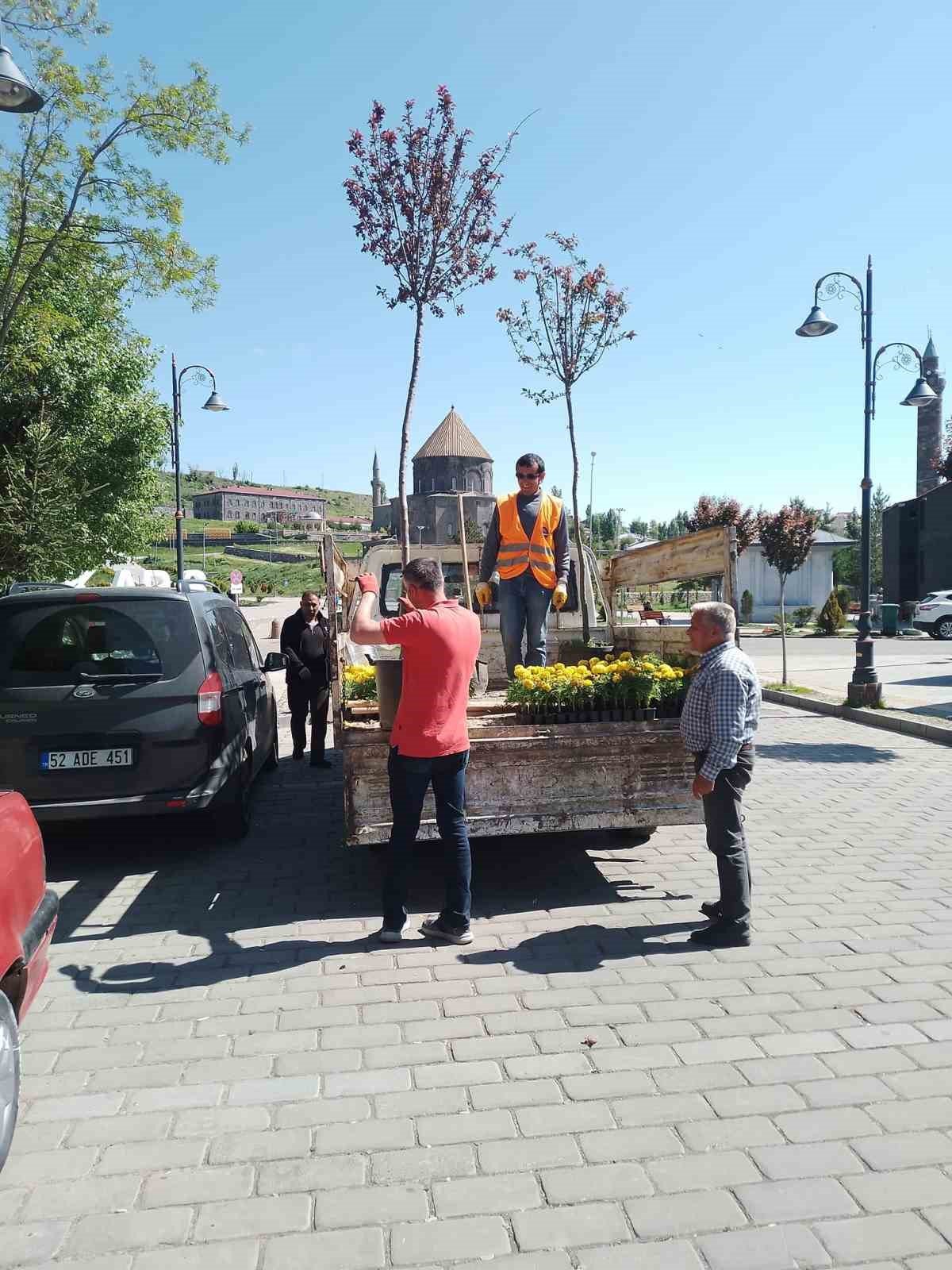 Kars’ta kuruyan ağaçlar değiştiriliyor