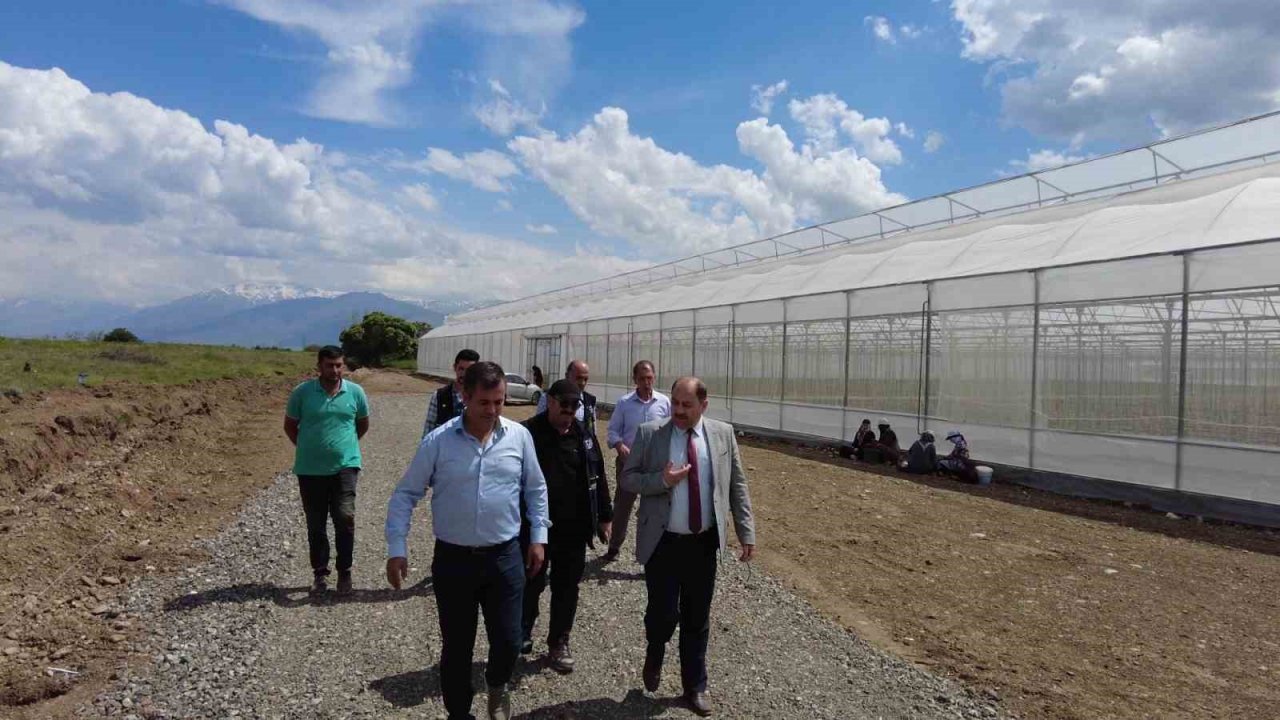 Erzincan’da seracılık sektörü, yeni kurulan seralarla büyüyor